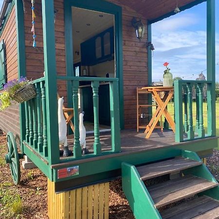Pia B&B Babbita Hasselt Luaran gambar