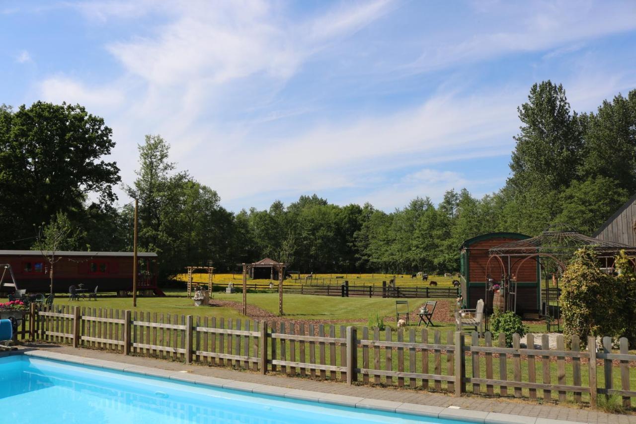 Pia B&B Babbita Hasselt Luaran gambar