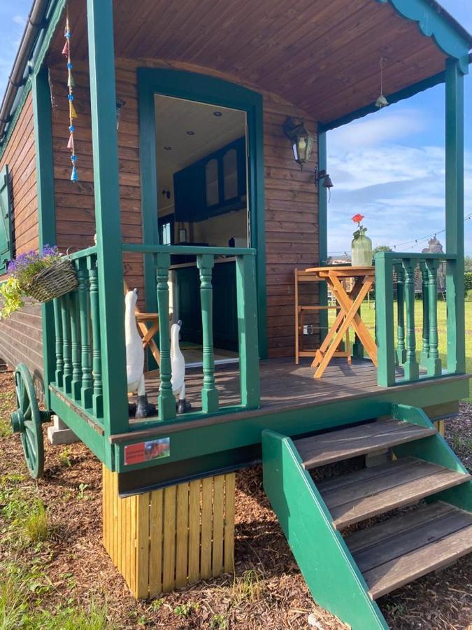 Pia B&B Babbita Hasselt Luaran gambar