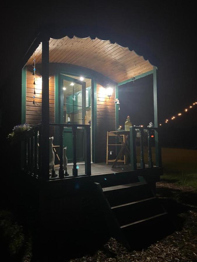 Pia B&B Babbita Hasselt Luaran gambar