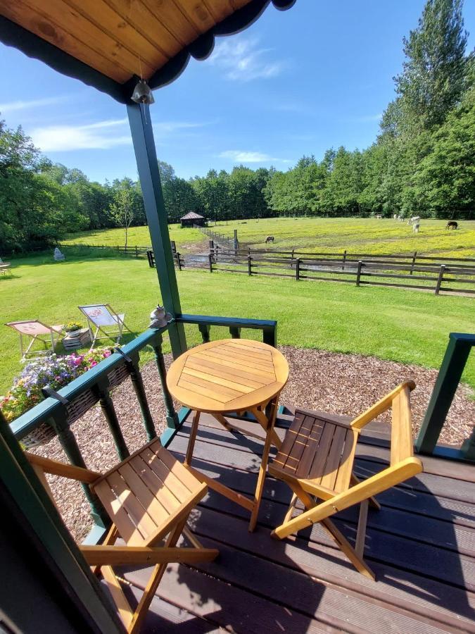 Pia B&B Babbita Hasselt Luaran gambar